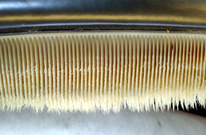 Photo displaying dozens of baleen plates. The plates face each other, and are evenly spaced at approximately 0.25 inches (1 cm) intervals. The plates are attached to the jaw at the top, and have hairs at the bottom end.