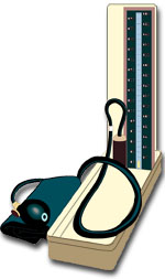 A sphygmomanometer used to measure pulse pressure (PP) non-invasively