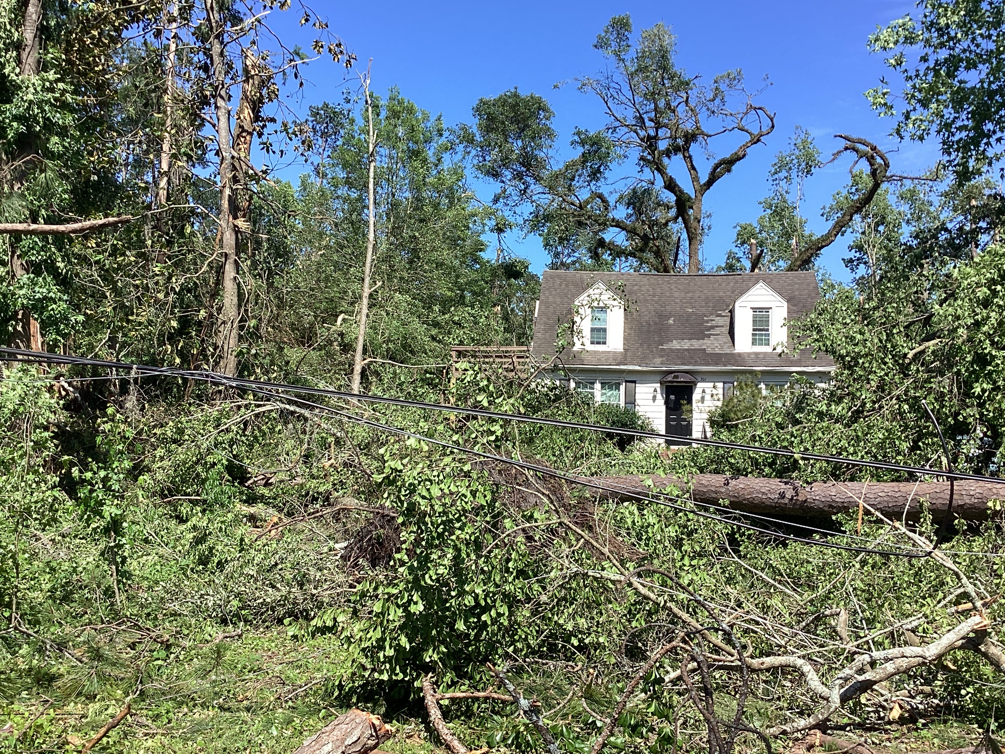 Low-end EF2 tree damage from the 1st Tallahassee tornado.