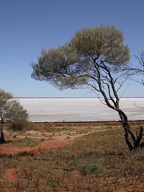 Lake Hart in South Australia.