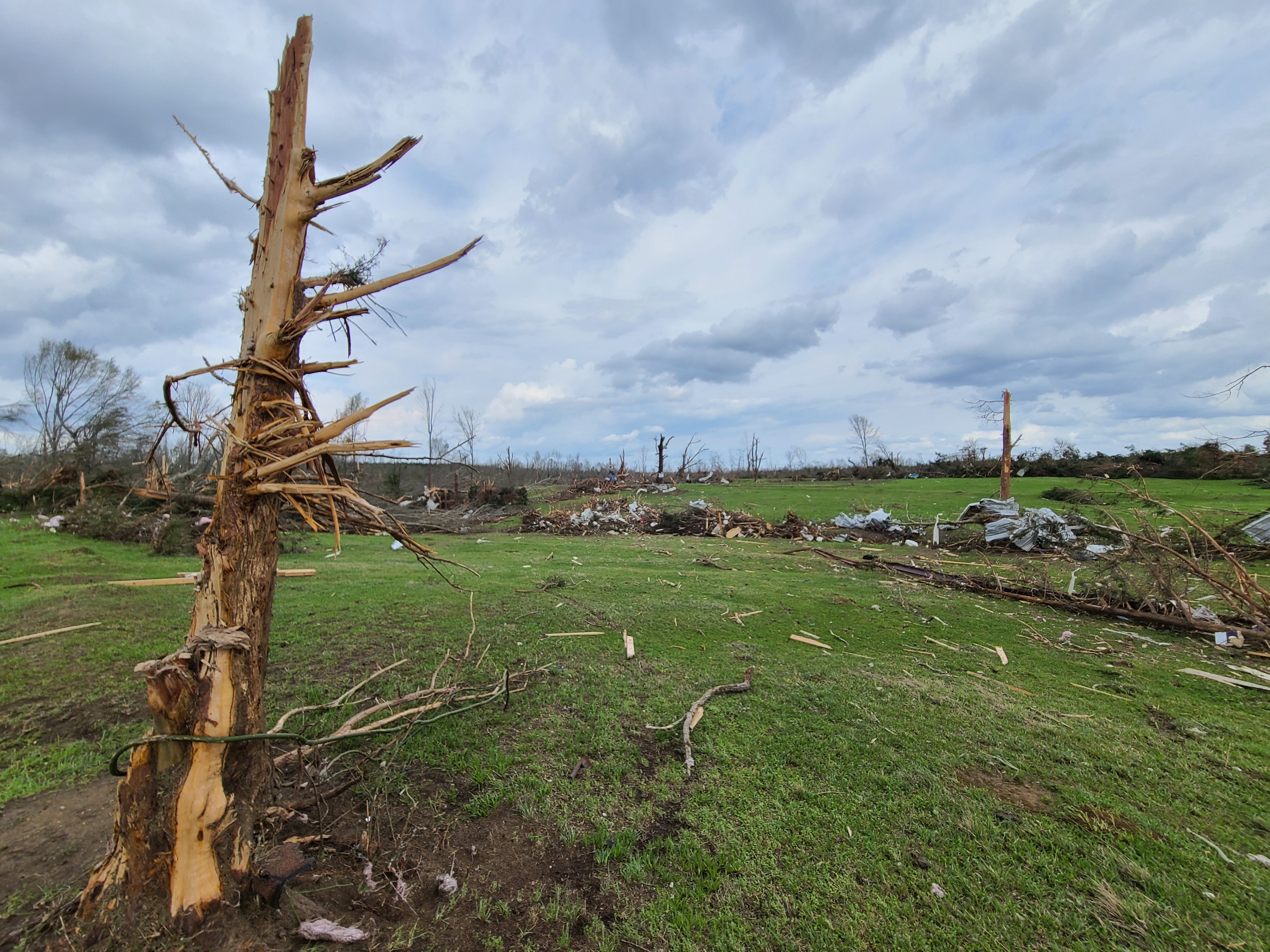 Heavy EF3 damage to trees in a debris-strewn field south of Sawyerville, Alabama.