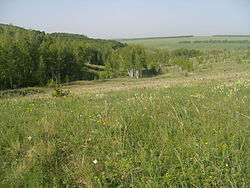 Scene in Belogorye Nature Reserve, in Borisovsky District