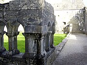 Cong Abbey cloisters