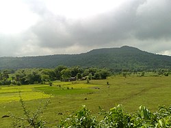 Rajmahal hills near Barhait