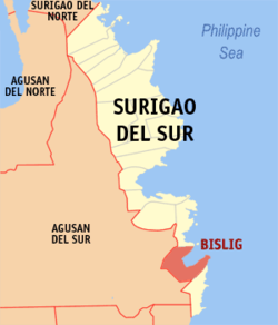 Map of Surigao del Sur with Bislig highlighted