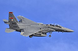 A F-15E Strike Eagle of the 391st Fighter Squadron based at Mountain Home AFB.