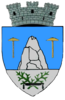 Coat of arms of Slănic