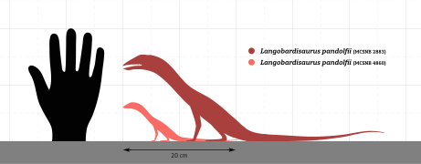 Langobardisaurus