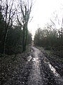 The Middlewood Way in winter