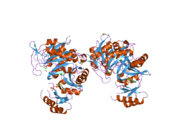 2qk4: Human glycinamide ribonucleotide synthetase