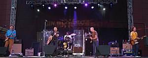 Gin Blossoms in 2018