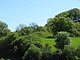 Motte on the hill: Aberedw castle mound