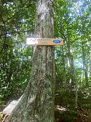 Nehantic Trail sign on Green Falls Rd at southeastern trailhead