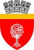 Coat of arms of Onești