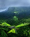 Sahyadri:One of the most Biodiverse regions in the world.[40]