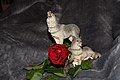 Fresh cut rose with one of my wolf statues