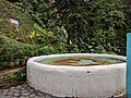 Holy Spirit Fountain, Sasse-Buea