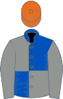 Royal blue and grey (quartered), grey sleeves, orange cap