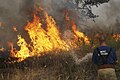 Image 50A Russian firefighter extinguishing a wildfire (from Wildfire)