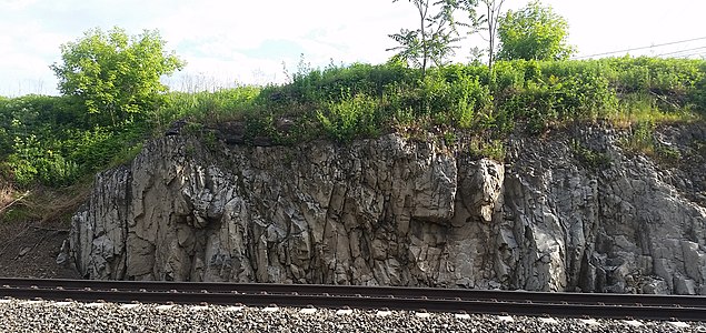Photo of the type section in 2019. The Kinzers Formation overlying the dolomite is about a meter thick in this photo.