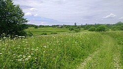 Landscape in Kunyinsky District
