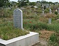 Cemetery in Afrasiyab