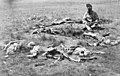The remains of dead Crow Indians killed and scalped by Piegan Blackfeet c. 1874