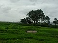 Scenery of Dhakti Jui