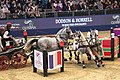 Fei Driving World Cup at the Olympia Horse Show 2017
