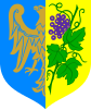 Coat of arms of Strzelce Opolskie