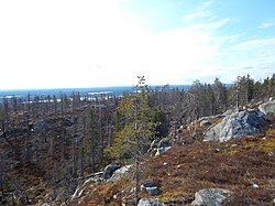 View from Mount Vottovaara, a protected area of Russia in Muyezersky District