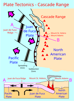 Map showing black vertical bars set in a blue field with their ends connected by thin lines. A contoured line with sharp bumps point toward a nearby coastline. In between is the label "Juan de Fuca Plate".