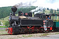 Mocănița-Huțulca-Moldovița narrow-gauge steam locomotive in Moldovița commune, a popular touristic attraction of Suceava County