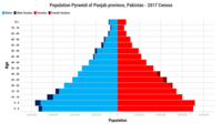 Population Pyramid of Punjab, Pakistan
