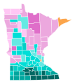 Democratic Primary for Minnesota Gubernatorial Election, 2018