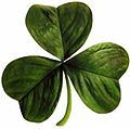 Happy St. Patrick's Day! May your blessings outnumber The shamrocks that grow, And may trouble avoid you Wherever you go. —an Irish blessing —  $PЯINGrαgђ 