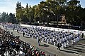 121st Tournament of Roses Parade, 2010