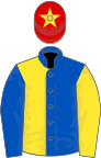 Royal blue and yellow halved, sleeves reversed, red cap, yellow star