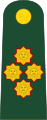 General de ejército (Peruvian Army)