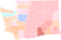 2016 Washington State Treasurer blanket primary