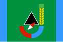 Flag of Gubkin