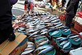 Jagalchi Fish Market