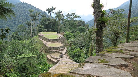 Ciudad Perdida is a major settlement believed to have been founded around 800 CE. It consists of a series of 169 terraces carved into the mountainside. a net of tiled roads and several small circular plazas. The entrance can only be accessed by a climb up some 1.200 stone steps through dense jungle.[11]