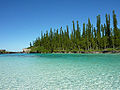 Image 19New Caledonia (from Melanesia)