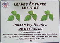 Poison Ivy warning