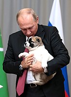 Vladimir Putin with Verni as a puppy in 2017.