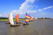 Boats with brightly coloured sails