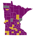 Democratic Primary for the United States Presidential election in Minnesota, 2008