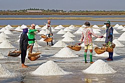 People with piles of white material on the ground