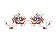 1nf7: Ternary complex of the human type II Inosine Monophosphate Dedhydrogenase with Ribavirin Monophosphate and C2-Mycophenolic Adenine Dinucleotide